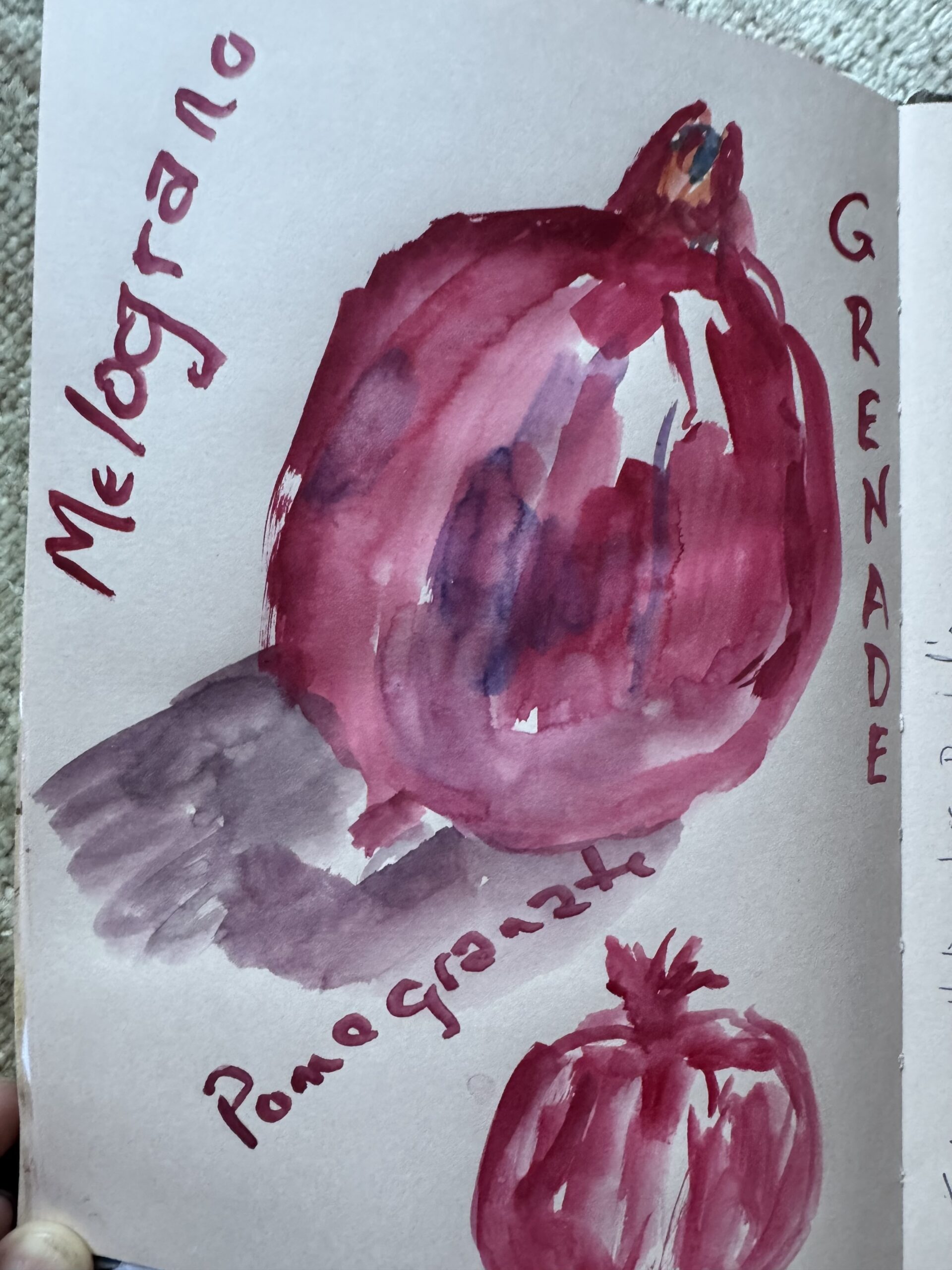 Pomegranates and Memories